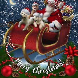 Meet your Posher, Teresa